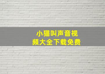 小猫叫声音视频大全下载免费