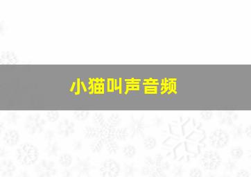 小猫叫声音频