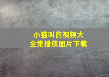 小猫叫的视频大全集播放图片下载