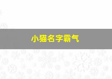 小猫名字霸气