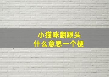 小猫咪翻跟头什么意思一个梗