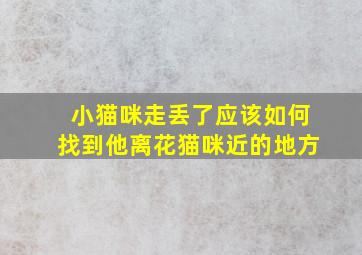 小猫咪走丢了应该如何找到他离花猫咪近的地方