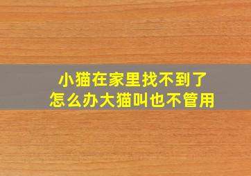 小猫在家里找不到了怎么办大猫叫也不管用