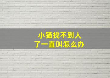 小猫找不到人了一直叫怎么办