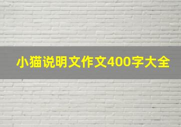 小猫说明文作文400字大全