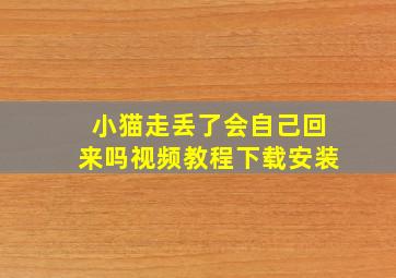 小猫走丢了会自己回来吗视频教程下载安装