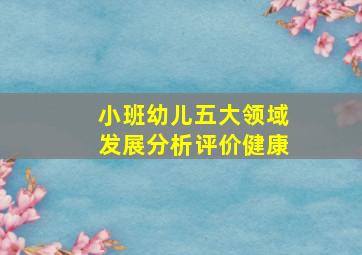 小班幼儿五大领域发展分析评价健康