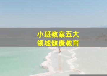 小班教案五大领域健康教育