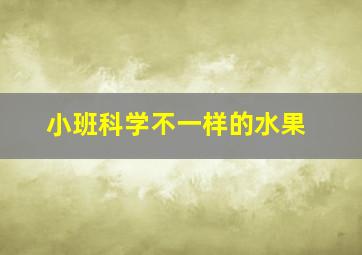 小班科学不一样的水果