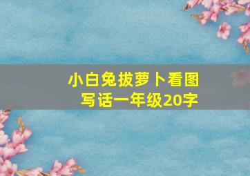 小白兔拔萝卜看图写话一年级20字