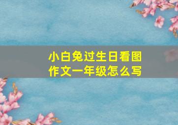 小白兔过生日看图作文一年级怎么写