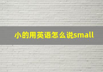 小的用英语怎么说small