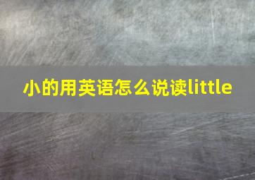 小的用英语怎么说读little