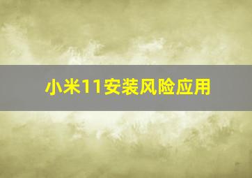 小米11安装风险应用