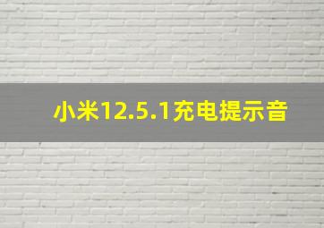 小米12.5.1充电提示音