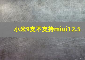 小米9支不支持miui12.5