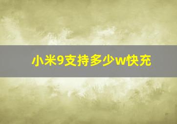 小米9支持多少w快充