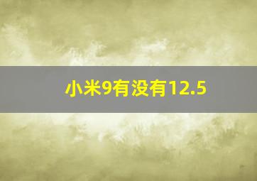 小米9有没有12.5