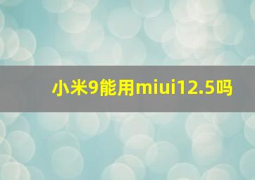 小米9能用miui12.5吗