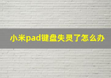 小米pad键盘失灵了怎么办