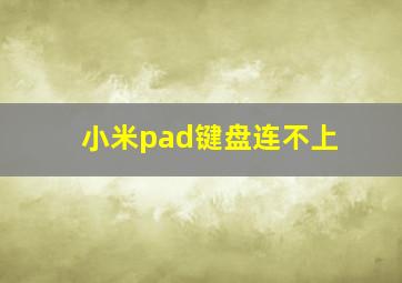 小米pad键盘连不上