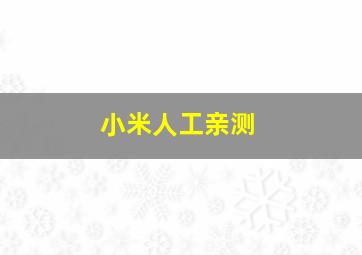 小米人工亲测