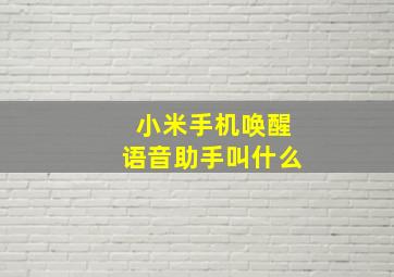 小米手机唤醒语音助手叫什么