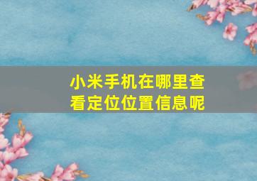 小米手机在哪里查看定位位置信息呢