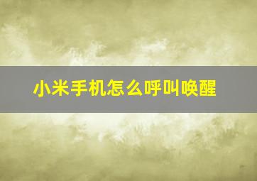 小米手机怎么呼叫唤醒