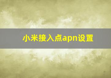 小米接入点apn设置