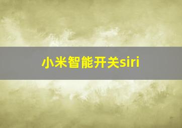 小米智能开关siri