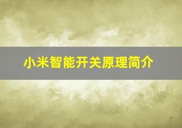 小米智能开关原理简介