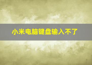 小米电脑键盘输入不了