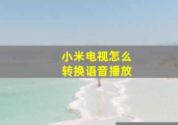 小米电视怎么转换语音播放