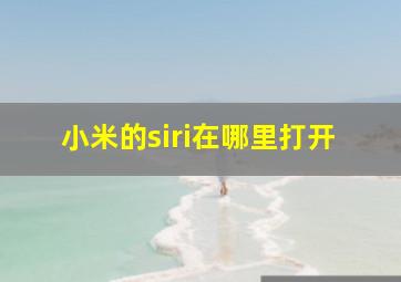 小米的siri在哪里打开