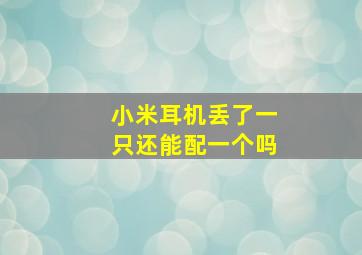 小米耳机丢了一只还能配一个吗