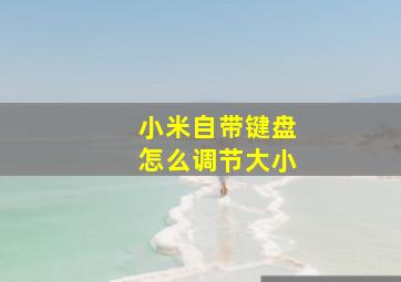 小米自带键盘怎么调节大小