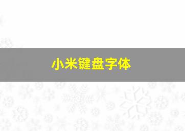 小米键盘字体