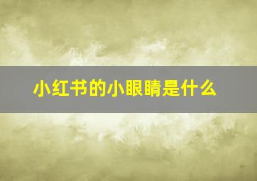 小红书的小眼睛是什么