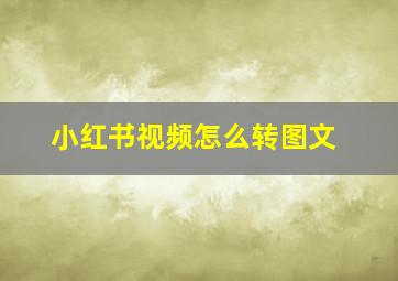 小红书视频怎么转图文