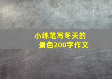 小练笔写冬天的景色200字作文