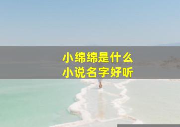 小绵绵是什么小说名字好听