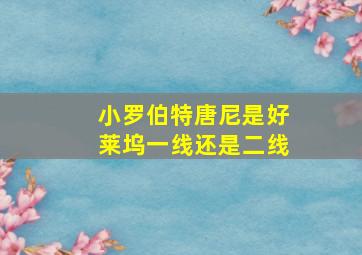 小罗伯特唐尼是好莱坞一线还是二线