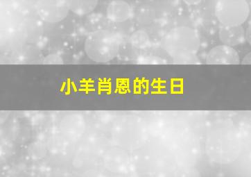 小羊肖恩的生日