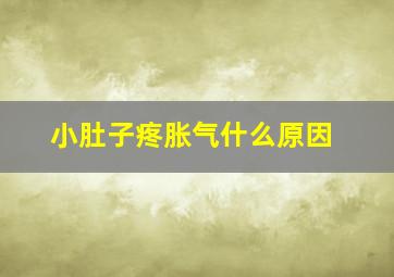 小肚子疼胀气什么原因