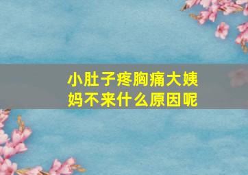 小肚子疼胸痛大姨妈不来什么原因呢