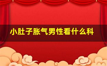 小肚子胀气男性看什么科