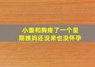 小腹和胸疼了一个星期姨妈还没来也没怀孕