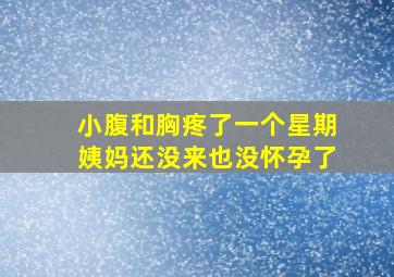 小腹和胸疼了一个星期姨妈还没来也没怀孕了