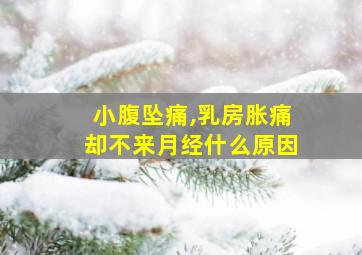 小腹坠痛,乳房胀痛却不来月经什么原因